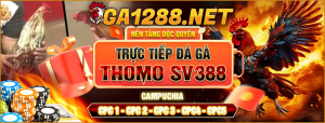 Ga1288.com ⚜️ Trang Độc Quyền Trực Tiếp Phát Sóng Gà Thomo Từ CPC1 Đến CPC5 DAGA88 [BJ88]